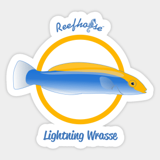 Lightning Wrasse Sticker